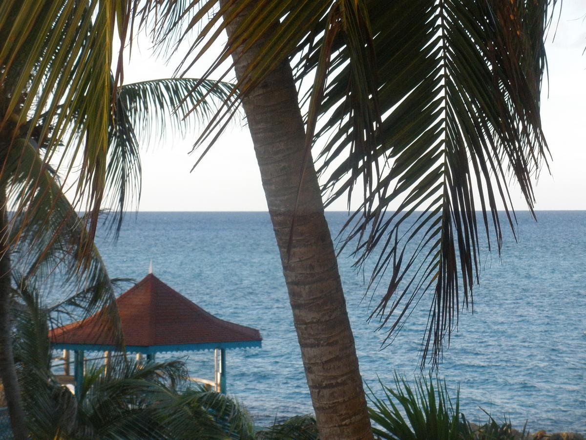 Villa Criss Ocho Rios Esterno foto